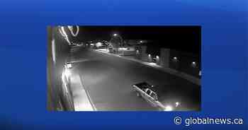 Olds RCMP search for 8 stolen historic plaques