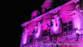 Frontignan la Peyrade : un weekend rose pour lutter contre le cancer du sein - Hérault Tribune - Hérault-Tribune
