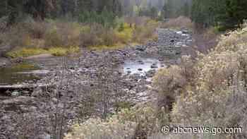 Climate change disrupting natural cycles at drier Lake Tahoe