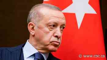 Turkey takes issue with Canadian ambassador, 9 others after calls to release jailed philanthropist