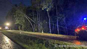 Sturm: Feuerwehr Volkach beseitigt umgekippte Bäume - Main-Post