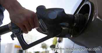 Gas Nearing $8 Per Gallon as Fuel Prices Skyrocket Ahead of Winter