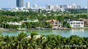 Florida is ditching palm trees to fight the climate crisis