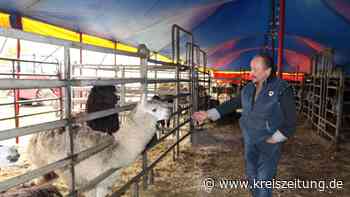 Hoffnung auf Neustart für „Circus Belly“ nach Winterquartier - kreiszeitung.de