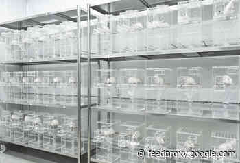 The Cruel Animal Testing Behind Thomas Edison's Quest to Show the Dangers of Alternating Current