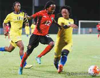 CHERMALYN ALBERT: From Player to Administrator - St. Lucia News From The Voice - The Voice St. Lucia