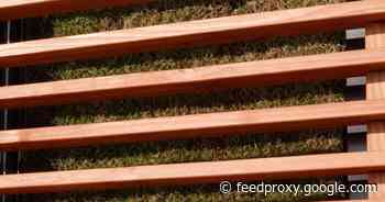 Harnessing moss and machine learning to capture air pollution     - CNET