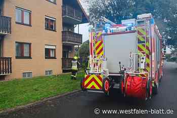 Essen vergessen, Haus verraucht - Westfalen-Blatt