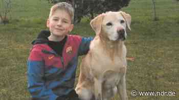 Bad Essen: Elfjähriger vermisst - Polizei bittet um Mithilfe - NDR.de