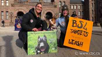 'Dogs are dogs': Dozens rally at Queen's Park to demand end to breed specific legislation