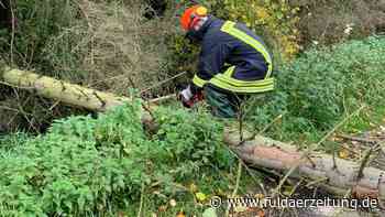 Fulda: Sturmtief Ignatz tobt - Orkan-Böen schleudern Baum auf Autos - Fuldaer Zeitung