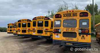 Insurance rates could impact school bus service in Alberta: contractor association
