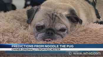 Internet sensation and prophesying dog has ties to Rochester