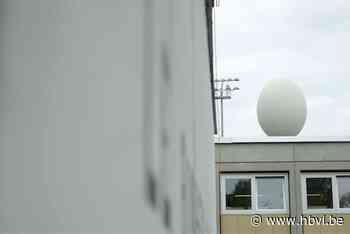 Koen Vanmechelen start levend kunstwerk aan VUB (Brussel) - Het Belang van Limburg Mobile - Het Belang van Limburg