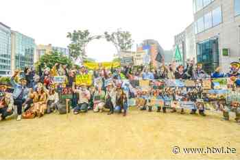 Klimaatbetogers houden flashmob aan Europese top in Brussel - Het Belang van Limburg