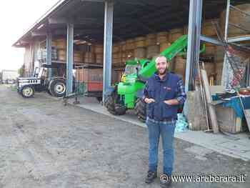 CLUSONE – LA STORIA - Massimo, 31 anni, e le sue 200 pecore: “A fare il muratore avevo i soldi ma non il tempo per spenderli, adesso avrei il tempo ma non i soldi...” - Araberara