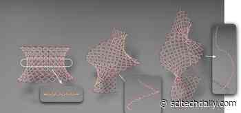 Shape-Shifting Materials With Infinite Possibilities: Totimorphic Structural Materials Can Achieve Any Shape