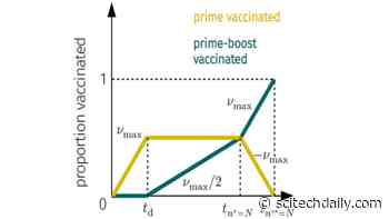 COVID Vaccination Strategies: When Is One Dose Better Than Two?