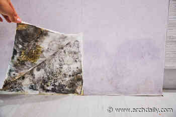 Invisible Mold can Destroy Architecture Silently: How to Treat Mold in Buildings - ArchDaily