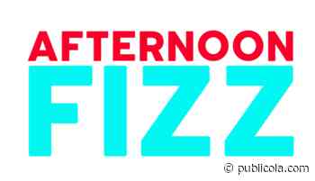 Election Mega-Fizz: Hostile Architecture, Race, Misleading Ads, a "Not Qualified" Rating, and More! - PubliCola