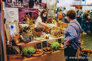 Die Hund und Katze in Kalkar startet wieder! - lifePR