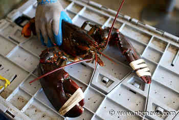 China is pushing a new Covid origin theory: Maine lobsters