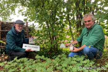 Natuurpunt Noorderkempen en Essen in de bres voor de egel: in top drie verkeersslachtoffers - Gazet van Antwerpen
