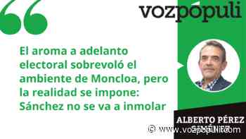 Pedro Sánchez, suicidio en las urnas - Vozpópuli