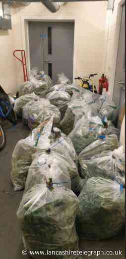 Goosnargh quarter of a million pound cannabis farm found