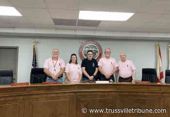 Pinson Council hires retail recruitment consultant - Trussvilletribune