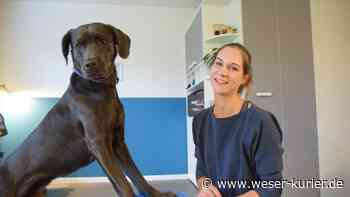 Neue Tierphysiotherapiepraxis in Lilienthal - WESER-KURIER - WESER-KURIER
