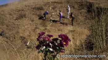 Vanessa Bryant said LA sheriff promised to secure crash site - Lethbridge News Now