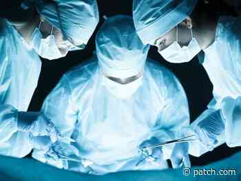 Medical Breakthrough: Doctors At NYU Langone Health Successfully Transplant Pig Kidney To Human Recipient - Patch.com