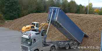 Euskirchen: Rüben-Kampagne läuft nach Hochwasser dank Kraftakt wie geplant - Kölner Stadt-Anzeiger