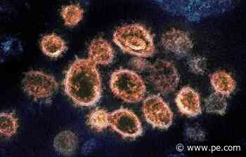 Does the first coronavirus that kicked off the pandemic still exist? - Press-Enterprise