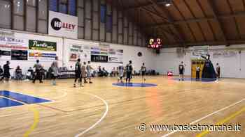 La Vigor Matelica supera con autorità la Valdiceppo Basket e torna a correre - Serie C Gold Girone Unico - Basketmarche.it