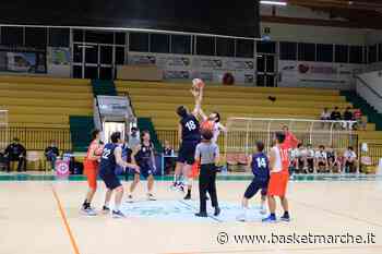 Lo Sporting Porto Sant'Elpidio Basket supera nettamente la Vigor Matelica - Serie D Regionale Girone B - Basketmarche.it