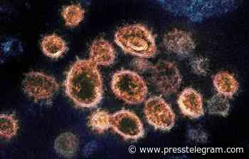 Does the first coronavirus that kicked off the pandemic still exist? - Long Beach Press Telegram