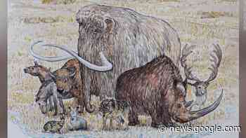 Mammoths and other extinct Ice Age giants clung on longer than previously thought, DNA analysis suggests - CNN