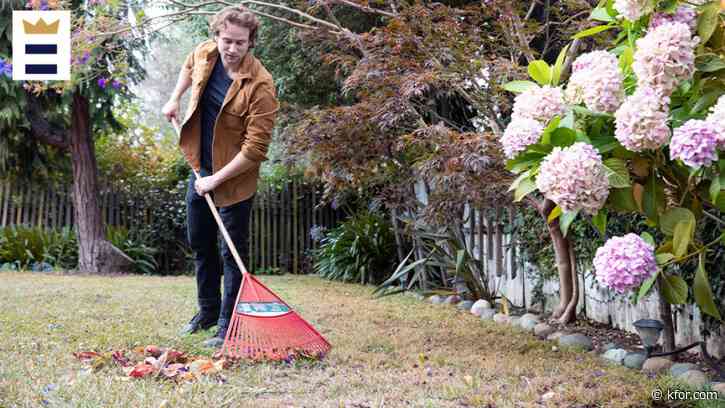 Everything your lawn needs in the fall in order to survive winter