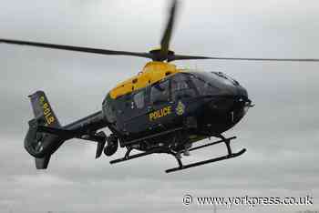 Police helicopter and dogs join search for missing person in York