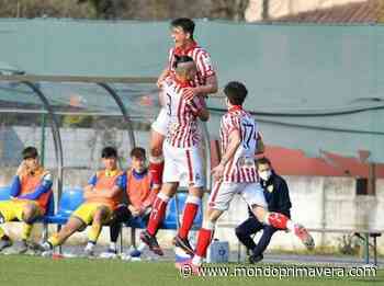 Primavera 2, Parma-Vicenza: le pagelle dei biancorossi - Mondoprimavera