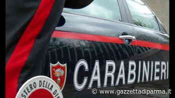 Sparatoria nel Reggiano: morto un uomo - Gazzetta di Parma