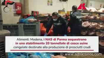 Modena, Nas sequestra 20 tonnellate di carne - Adnkronos
