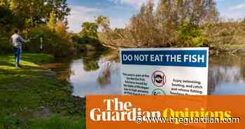 Lethal ‘forever chemicals’ taint our food, water and even blood. The EPA is stalling - The Guardian