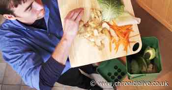 A fifth of all food bought is still going in the bin every week - Chronicle Live