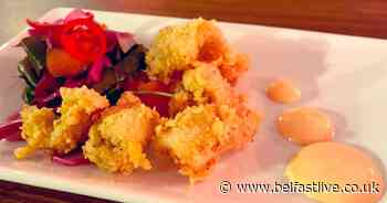 Review: Havana Grill has the perfect mix of great food and friendly staff - Belfast Live