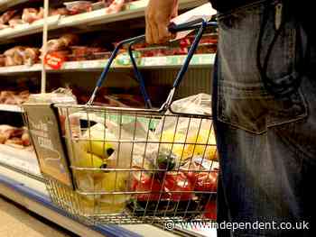 Farmers to slash food production after worker shortage causes ‘unprecedented’ waste - The Independent