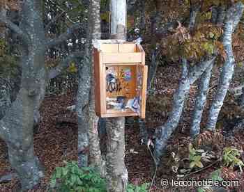 Coltignone: rovinato il libro di vetta, sarà rimesso a nuovo - Lecco Notizie