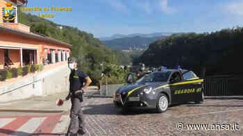 Reddito, scoperti 70 irregolari a Lecco dalla GdF - Agenzia ANSA